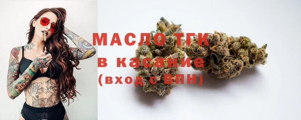 гашик Новозыбков