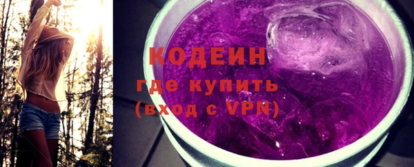 гашик Новозыбков