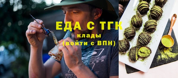 гашик Новозыбков