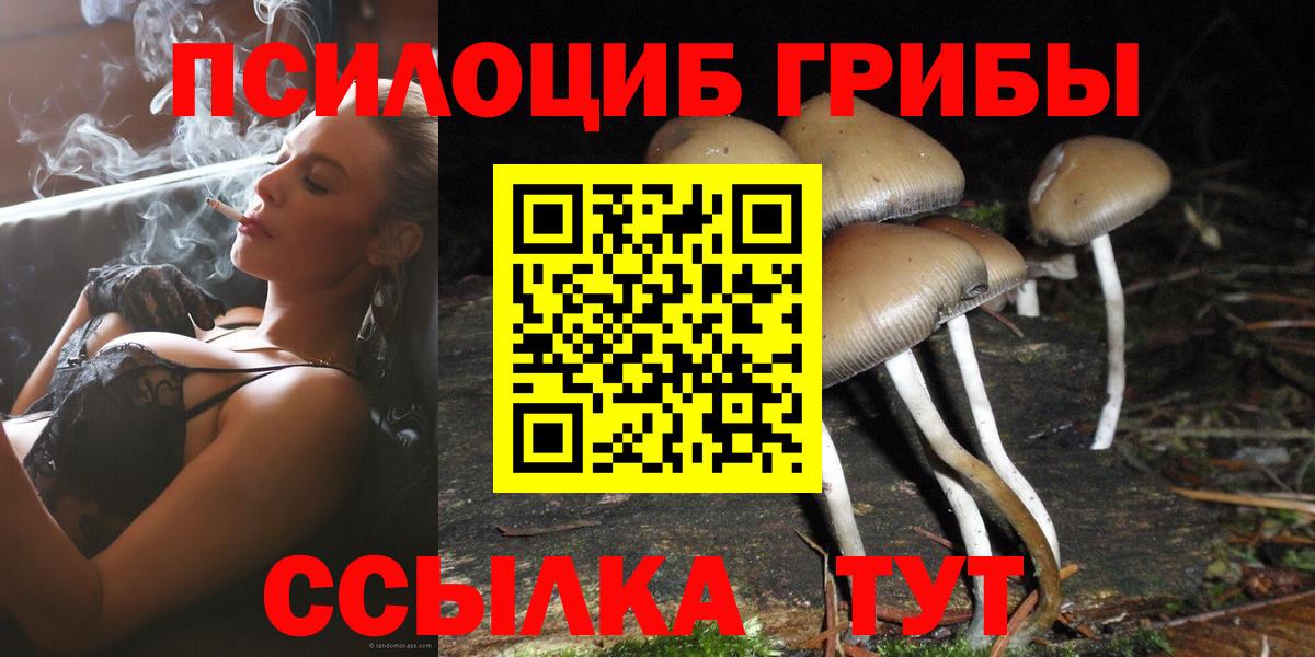 Галлюциногенные грибы GOLDEN TEACHER Киреевск