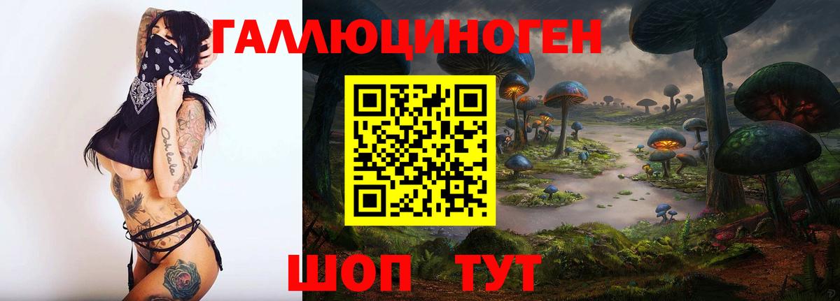 Киреевск  Псилоцибиновые грибы ЛСД  продажа наркотиков  Вход с VPN  Псилоцибиновые грибы Cubensis 